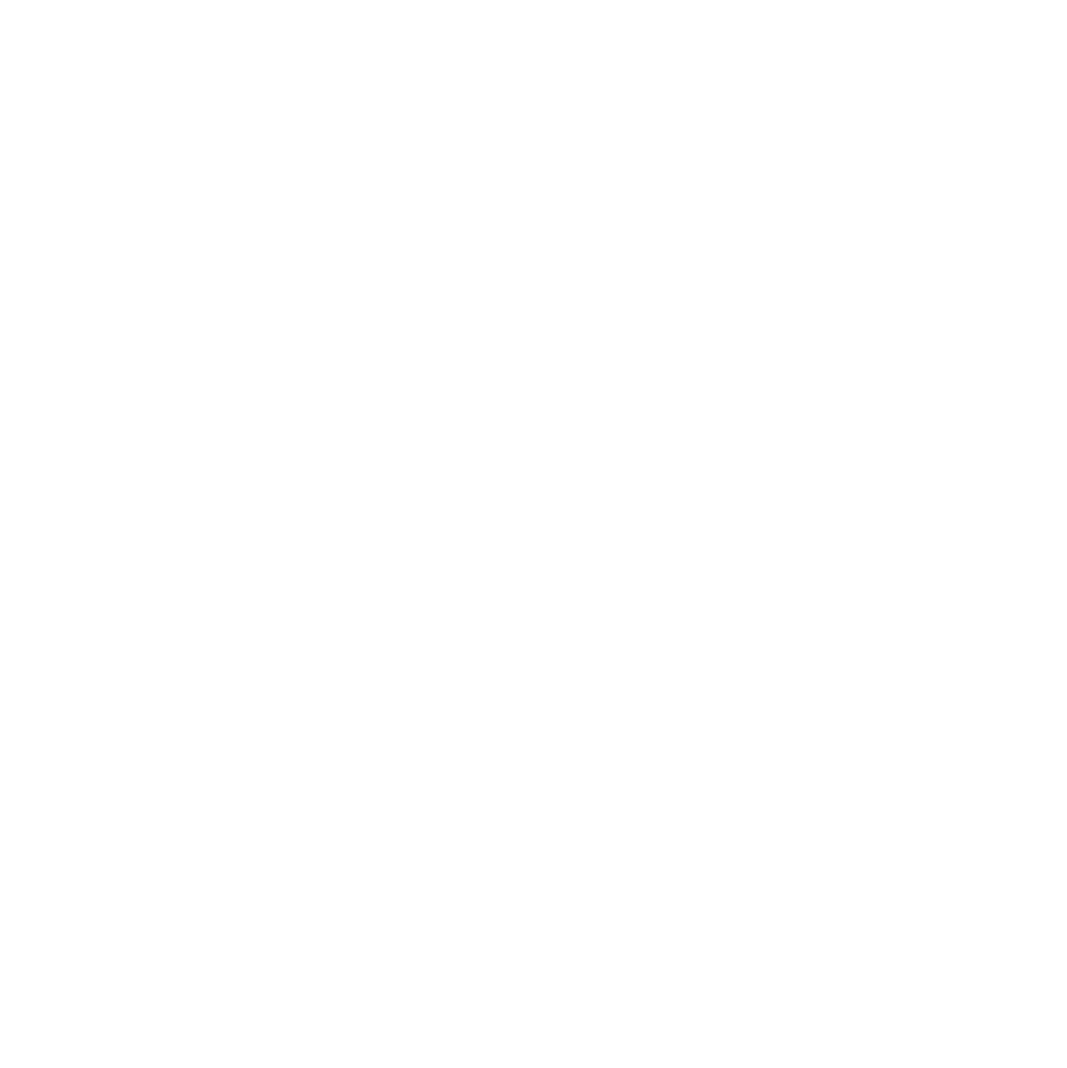 ZEPPELIN